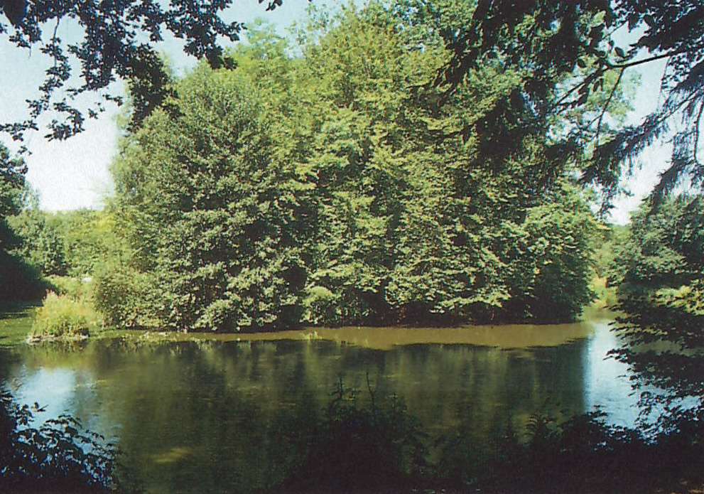 Burg Groß-Bernsau (Ruine)