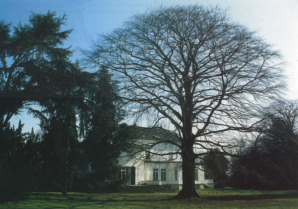 Haus Lantz in Düsseldorf-Lohausen von weitem