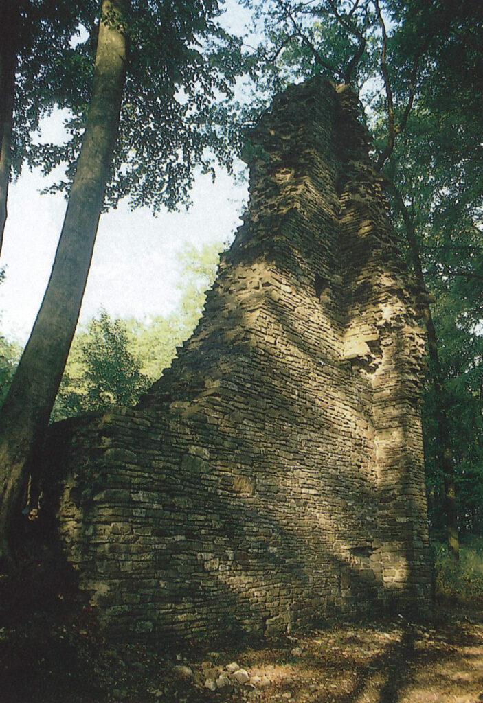 Ruine Neuenberg in Frielingsdorf