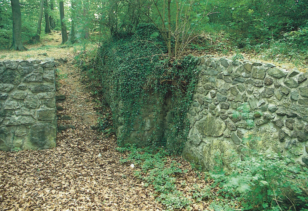 Ruine Raffenburg