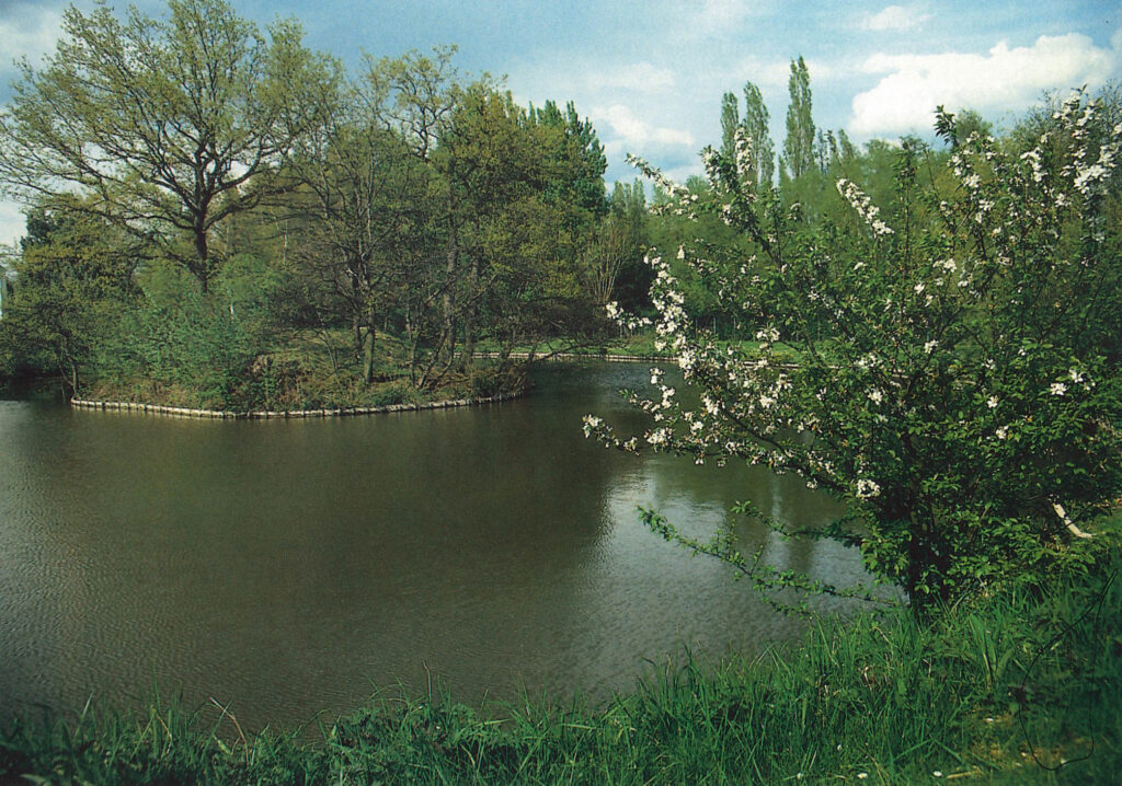 Niederungsburg Kurtekotten