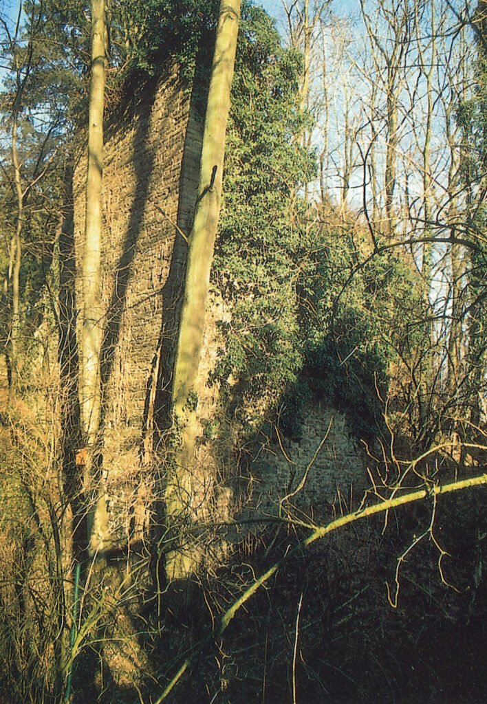 Ruine Unterheiligenhofen